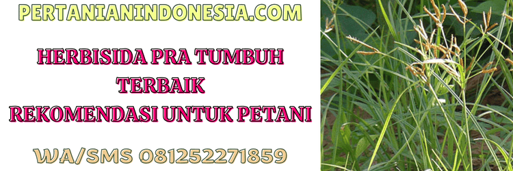 herbisida,pra tumbuh,terbaik,herbisida pra tumbuh,pertanian indonesia